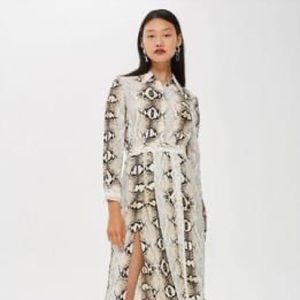TopShop Snake Print Dress